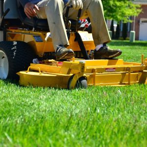 mowing the lawn